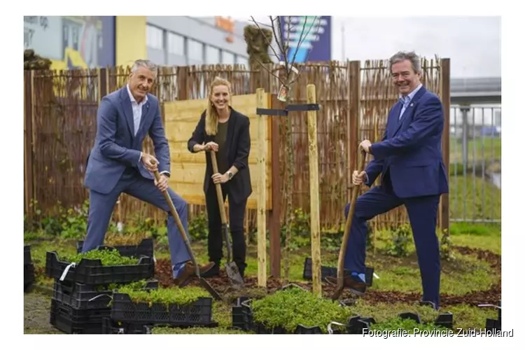 Zuid-Holland investeert in groenere bedrijventerreinen