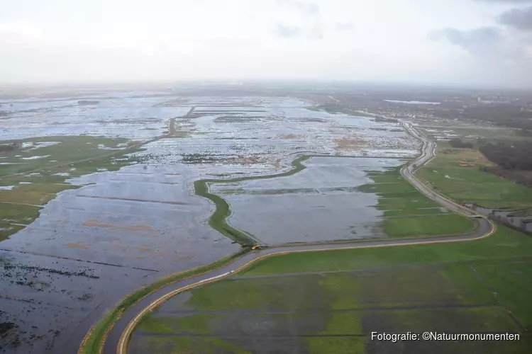 Natuurmonumenten: "Investeer ons nu ook uit de droogtecrisis"