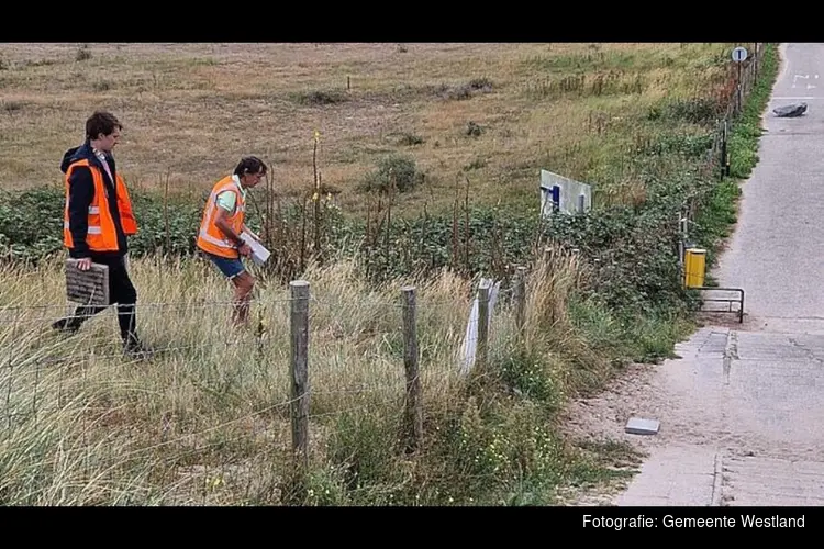 Voorbereidende werkzaamheden bij strandopgang Molenslag